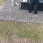 2025.10.25 prace porządkowe na cmentarzu parafialnym 14