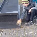 2025.10.25 prace porządkowe na cmentarzu parafialnym 18