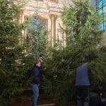 2025.12.20 przygotowanie kościoła do świąt - rodzice i dzieci klas III 23