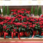 2025.12.24 Msza św. o północy Pasterka 7