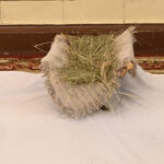 2025.12.28 Jasełka 3